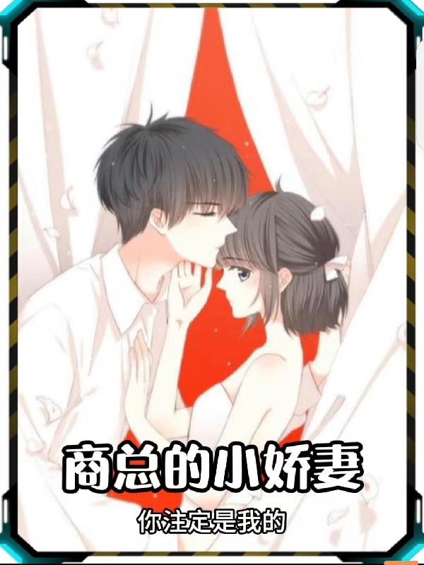 ���ܵ�С����