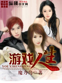 ��Ϸ����