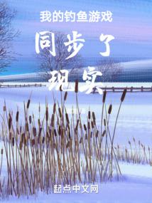 �ҵĵ�����Ϸͬ������ʵ